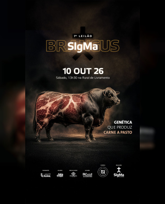 7º Leilão Sigma Brangus