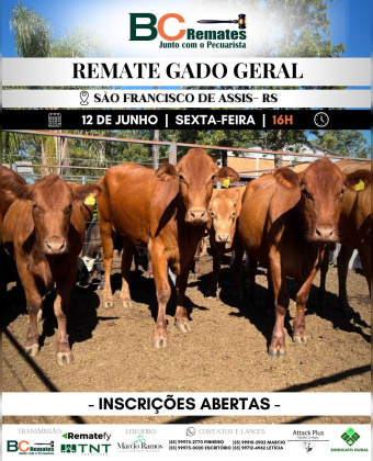 Remate Gado Geral