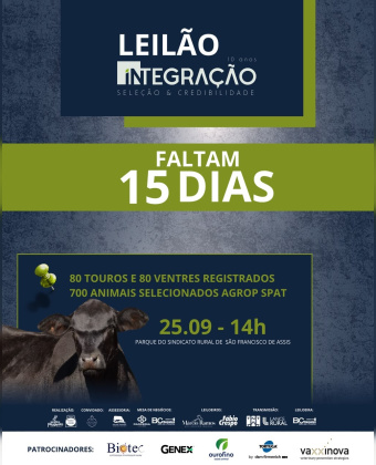 Leilão Integração