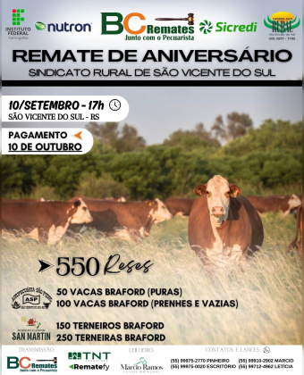 Remate de Aniversário
