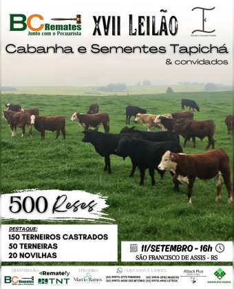 XVII Leilão Cabanha e Sementes Tapicha