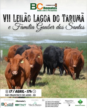 VII Leilão Lagoa do Tarumã e Família Gauber dos Santos