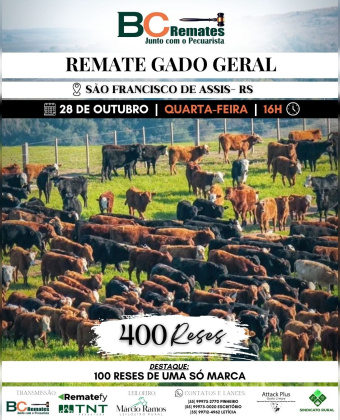Remate Gado Geral