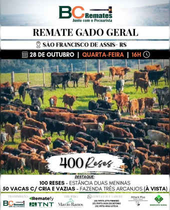 Remate Gado Geral