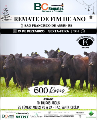 Remate de Fim de Ano 