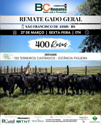 Remate Gado Geral