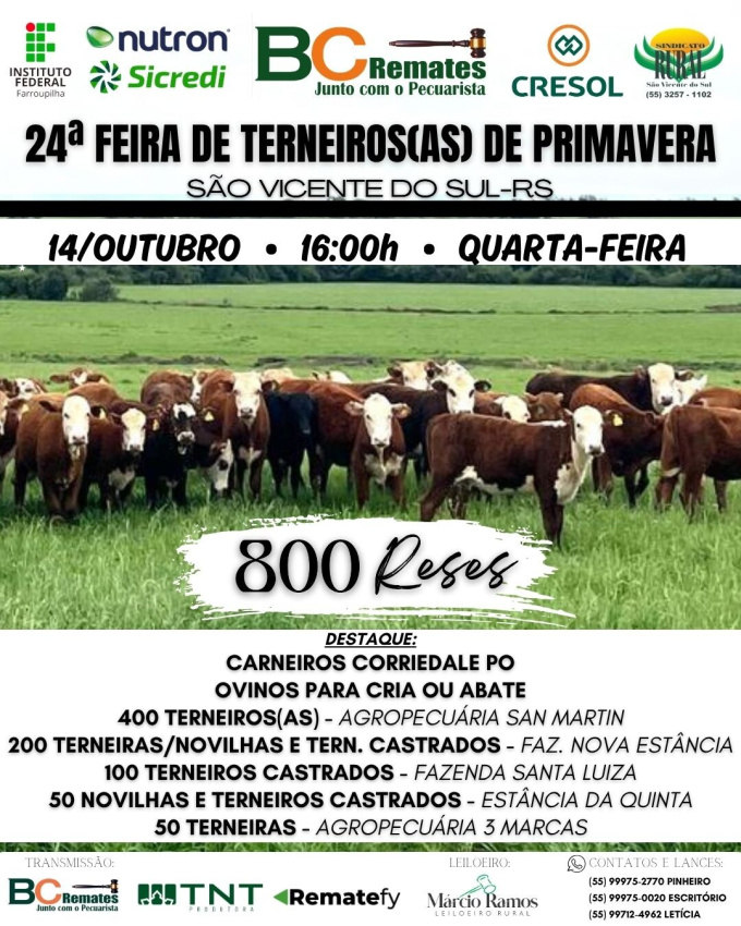 24ª Feira de Terneiros(as) de Primavera