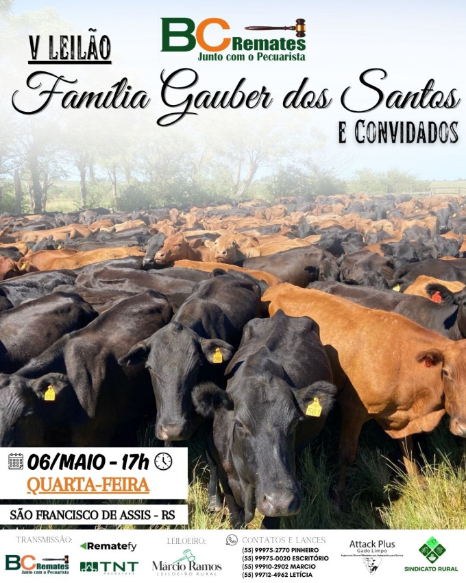 V Leilão Família Gauber dos Santos