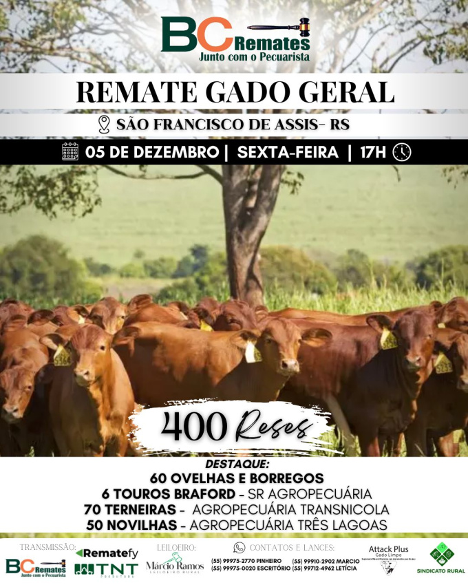 Remate Gado Geral