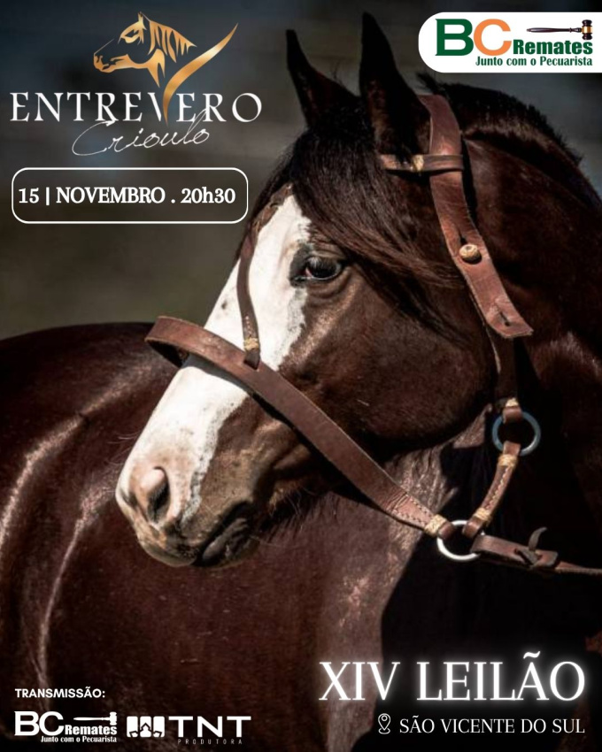 XIV Leilão Entrevero Crioulo