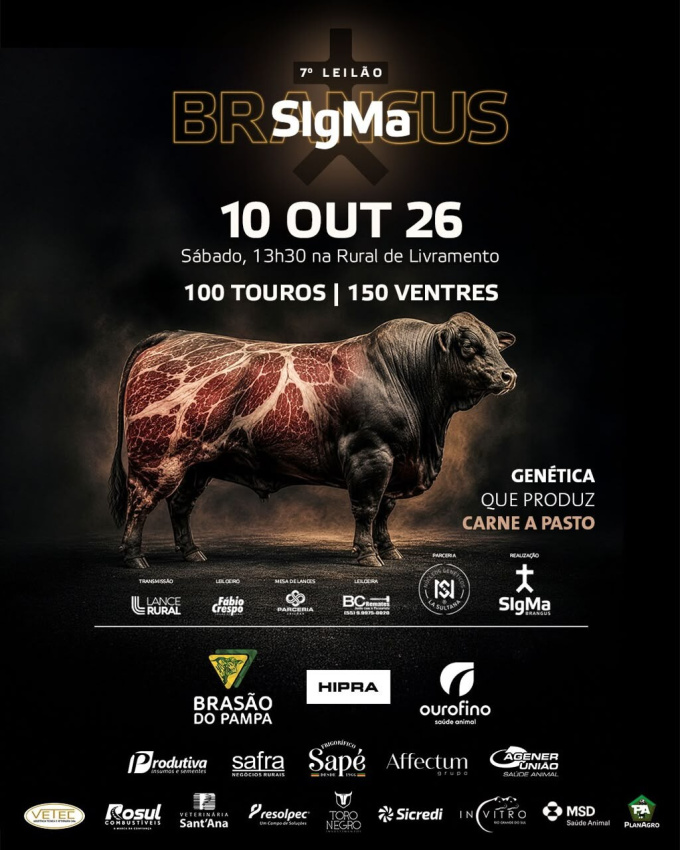 7º Leilão Sigma Brangus