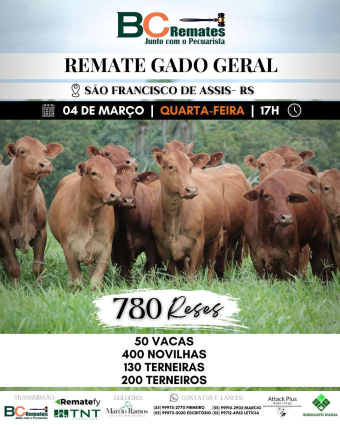 Remate Gado Geral