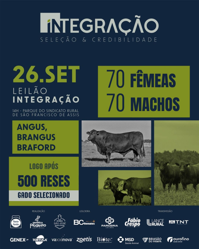  Leilão Integração