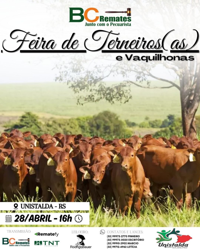 Feira de Terneiros, Terneiras e Vaquilhonas