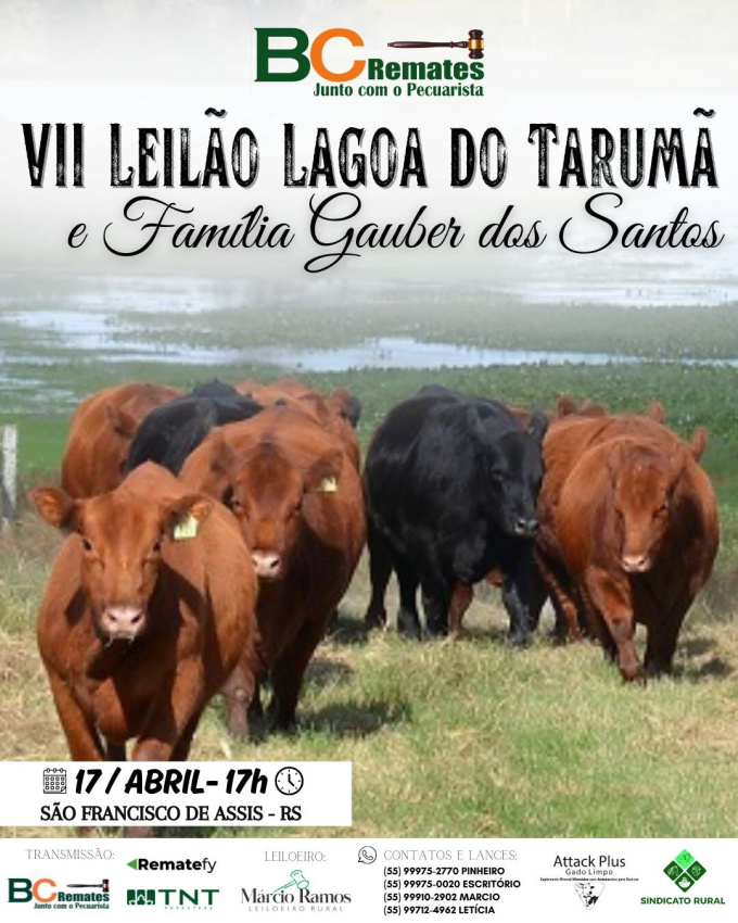 VII Leilão Lagoa do Tarumã e Família Gauber dos Santos