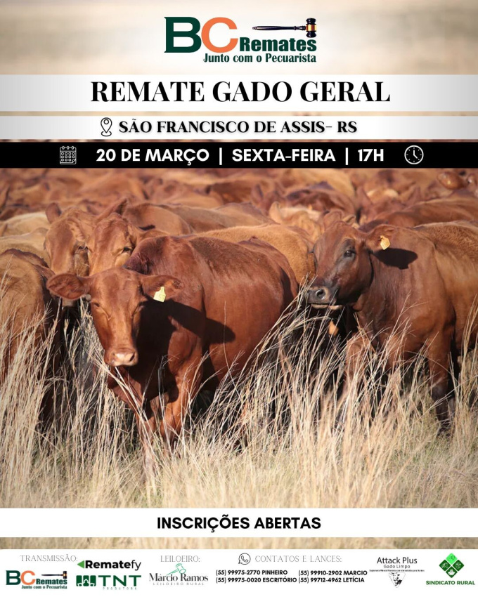 Remate Gado Geral