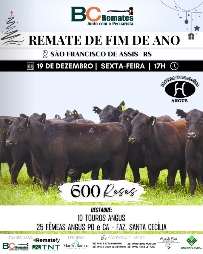 Remate de Fim de Ano 