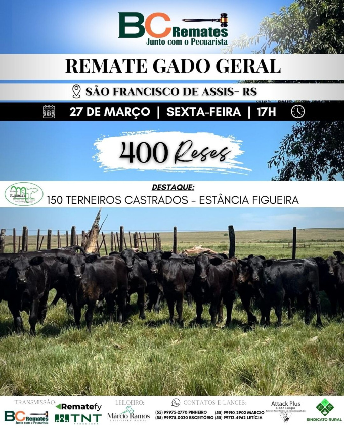 Remate Gado Geral