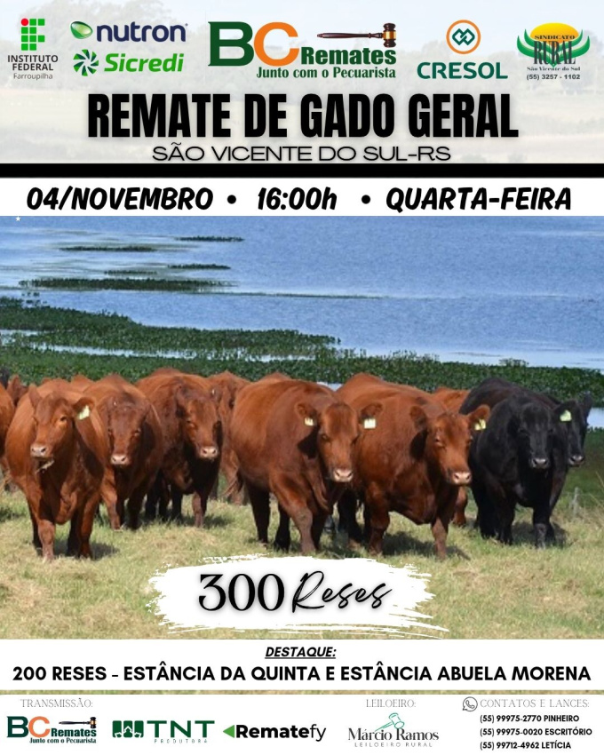 Remate Gado Geral