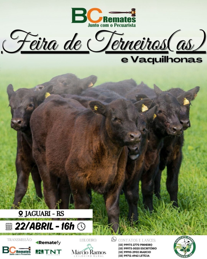 Feira de Terneiros, Terneiras e Vaquilhonas
