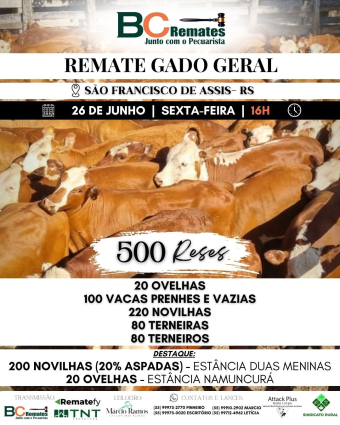 Remate Gado Geral